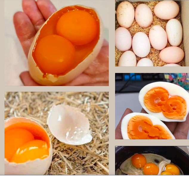 Thực hư thông tin về các loại trứng gà 2 lòng đỏ, vỏ nhiều màu sắc - Ảnh 1