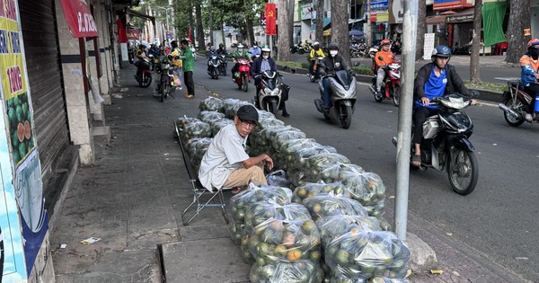 Nắng nóng, cam sành "giải cứu" tăng giá