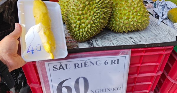 Sầu riêng loạn giá, xuất khẩu giảm sâu