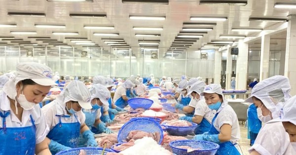 Nước nào tiêu thụ cá tra Việt Nam lớn nhất thế giới?