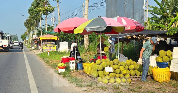 Sầu riêng ‘rẻ như bèo’ bán đầy đường