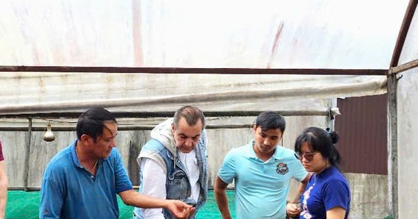 Ca cao khan hiếm giữa ‘cơn sốt’ giá kỷ lục
