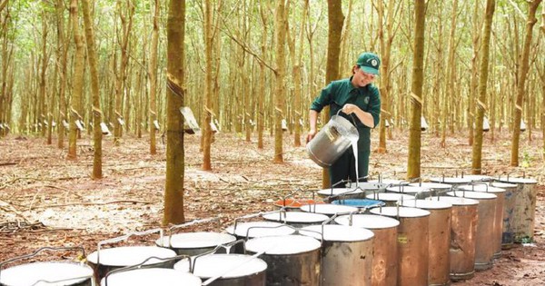 Trung Quốc mua hàng triệu tấn 'vàng trắng' để theo đuổi giấc mơ xe điện, nhưng lại giảm nhập từ Việt Nam