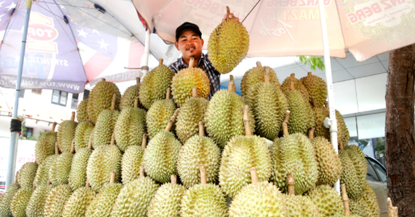 'Hàng xóm' của Việt Nam vừa chính thức gia nhập thị trường sầu riêng Trung Quốc: Quan chức gọi đây là 'thời khắc lịch sử', sản lượng ra sao so với các đối thủ?