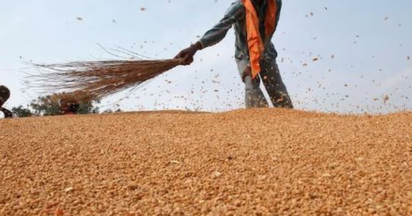 Vừa ngừng nhập khẩu từ Mỹ, một ngành hàng của Trung Quốc gặp sóng gió: ‘Cứu tinh’ chậm trễ giao hàng, nhập khẩu giảm xuống thấp nhất trong một thập kỷ