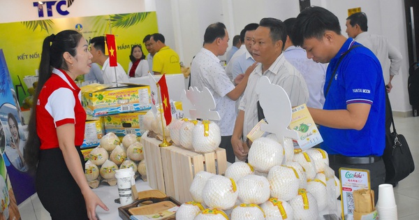 Khan hàng loại quả xuất khẩu tỉ USD, giá tăng mạnh