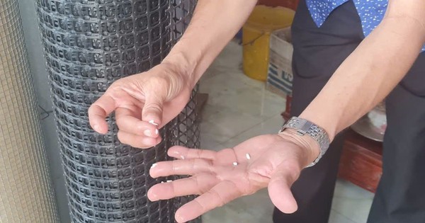 Phát hiện ‘gạo lạ’ ở Hậu Giang