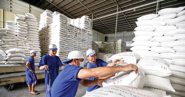 Đề xuất quy định mới về kinh doanh xuất khẩu gạo