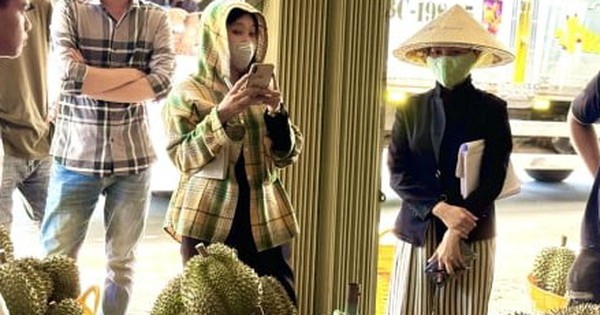 Chuyên gia 'vạch trần' cách cadimi âm thầm 'đầu độc' ngành sầu riêng