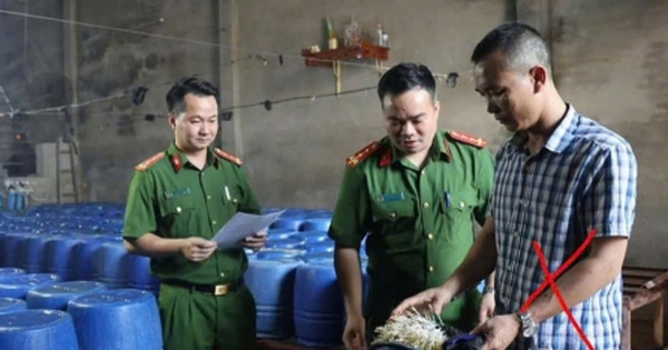Khởi tố chủ cơ sở bán 60 tấn giá đỗ dùng chất kích thích tăng trưởng