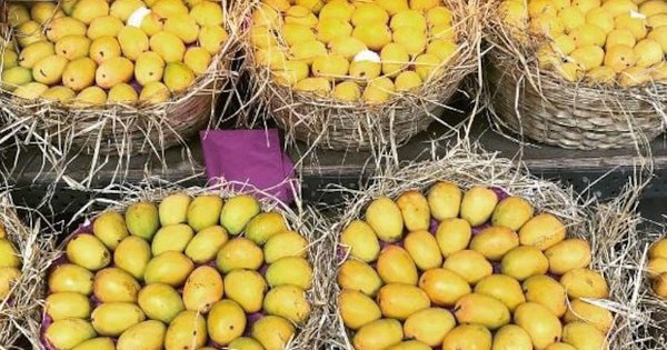 Loại quả của Việt Nam được khen 'ngon nhất thế giới': Trung Quốc, Nhật, Mỹ, EU đều mê, thu về nghìn tỷ