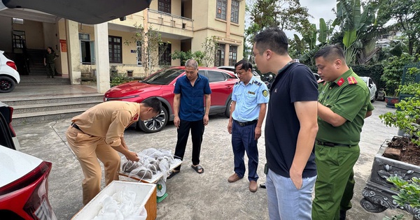 Nóng tại Quảng Ninh: Phát hiện một hộ kinh doanh có hơn 2.000 kg thực phẩm không rõ nguồn gốc, hộ khác có 5,6 triệu con ngao hoa giống không rõ xuất xứ
