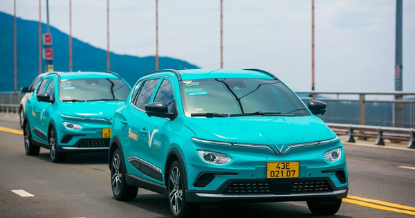 Thị trường tỷ đô đang tăng trưởng nóng tại Việt Nam: Xanh SM và công ty đa quốc gia, ai là số 1?