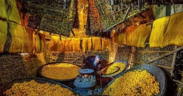 Mỹ vừa chi hơn 5 tỷ USD mua ‘mỏ vàng’ đứng thứ 2 thế giới của Việt Nam: Đã xuất khẩu đến hơn 100 thị trường, Hàn Quốc, Nhật Bản cũng là ‘khách ruột’