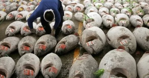 Một mặt hàng của Việt Nam ngày càng đắt hàng tại Nga: Thu gần 64 triệu USD kể từ đầu năm, nước ta xuất khẩu đứng thứ 3 thế giới