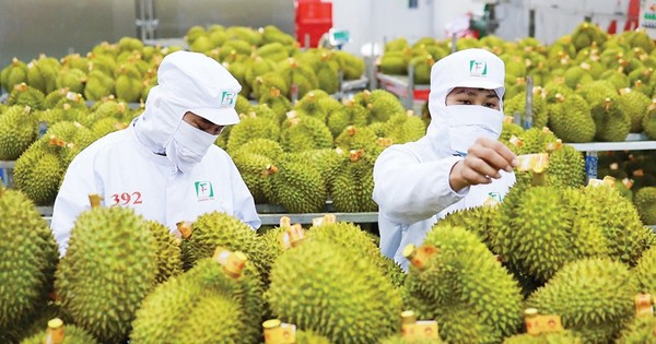 Bộ trưởng Đỗ Đức Duy nói thẳng 4 'nhức nhối' của sầu riêng Việt Nam