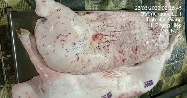 Sóc Trăng kiểm tra cơ sở kinh doanh thịt heo sau phản ánh gây xôn xao