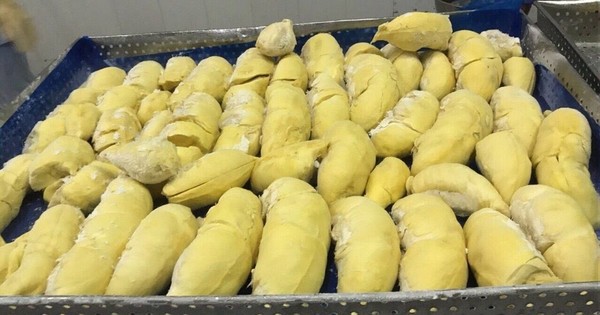 Sau 2 ngày thương thảo, sầu riêng đông lạnh Việt Nam thẳng tiến Trung Quốc