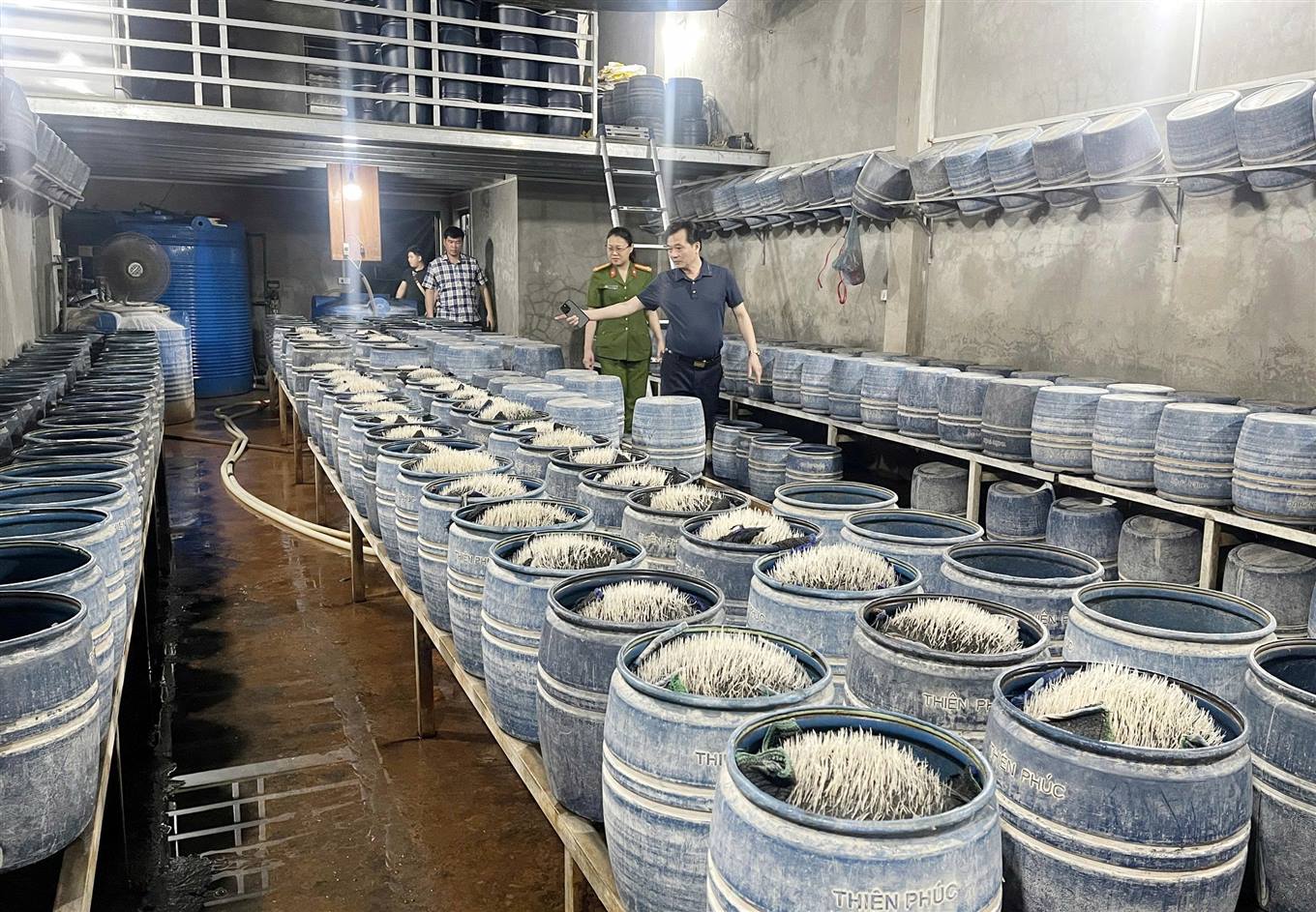 Cận cảnh cơ sở dùng hóa chất độc hại để sản xuất gần 350 tấn giá đỗ bán cho người dân - Ảnh 1