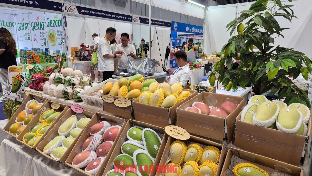 Xoài Trung Quốc tràn ngập chợ - Ảnh 2