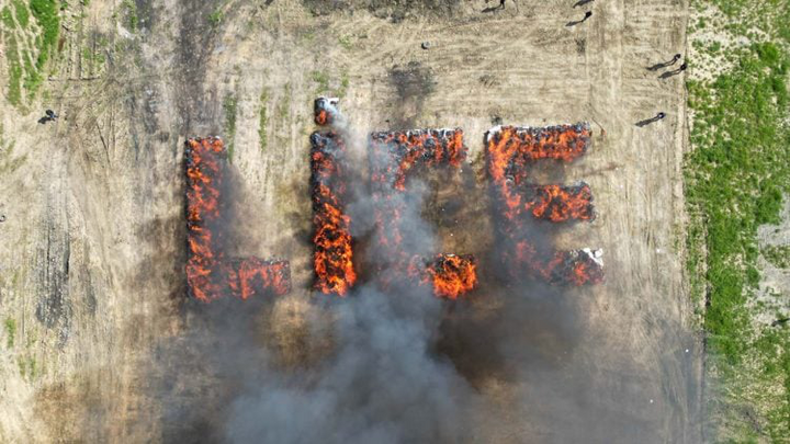 Cảnh sát đốt 20 tấn cần sa, khói bốc lên khiến cư dân cả thị trấn bị ảo giác - Ảnh 1