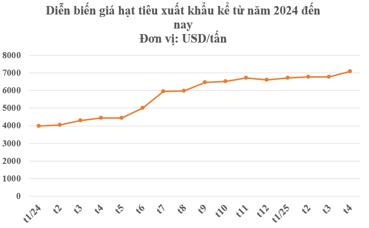Mỹ bất ngờ săn lùng một 'mỏ vàng' đắt đỏ của Việt Nam: Nước ta xuất khẩu bằng cả thế giới cộng lại, thu về nửa tỷ USD kể từ đầu năm - Ảnh 1