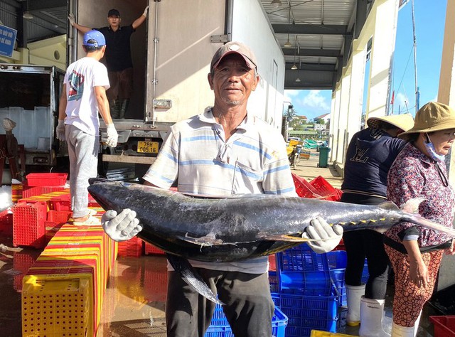 Mặt hàng của Việt Nam được hơn 75 quốc gia lùng mua: Nga tăng cường thu gom - Ảnh 2