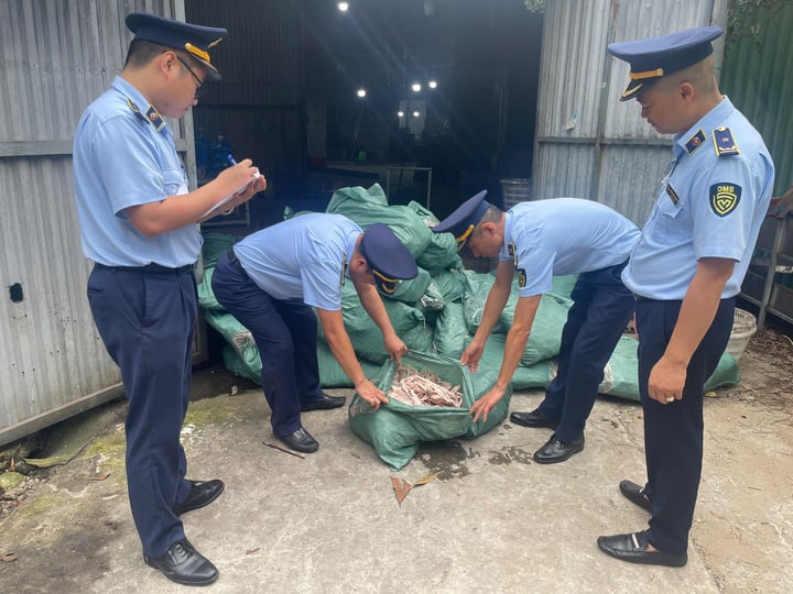 Phát hiện gần 8 tấn chân gà 'bẩn' đang chờ tiêu thụ tại Quảng Ninh - Ảnh 2