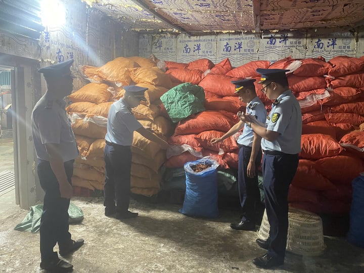 Phát hiện gần 8 tấn chân gà 'bẩn' đang chờ tiêu thụ tại Quảng Ninh - Ảnh 1