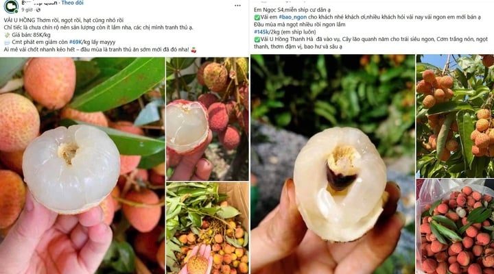 Chợ mạng rao bán vải u hồng chín sớm, giá rẻ bất ngờ - Ảnh 1