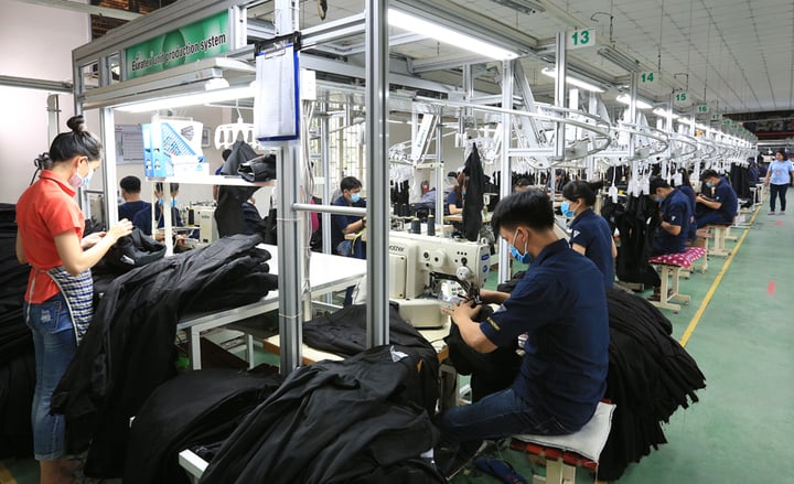 Chuyên gia hiến kế cho doanh nghiệp Việt bán hàng sang Mỹ - Ảnh 2