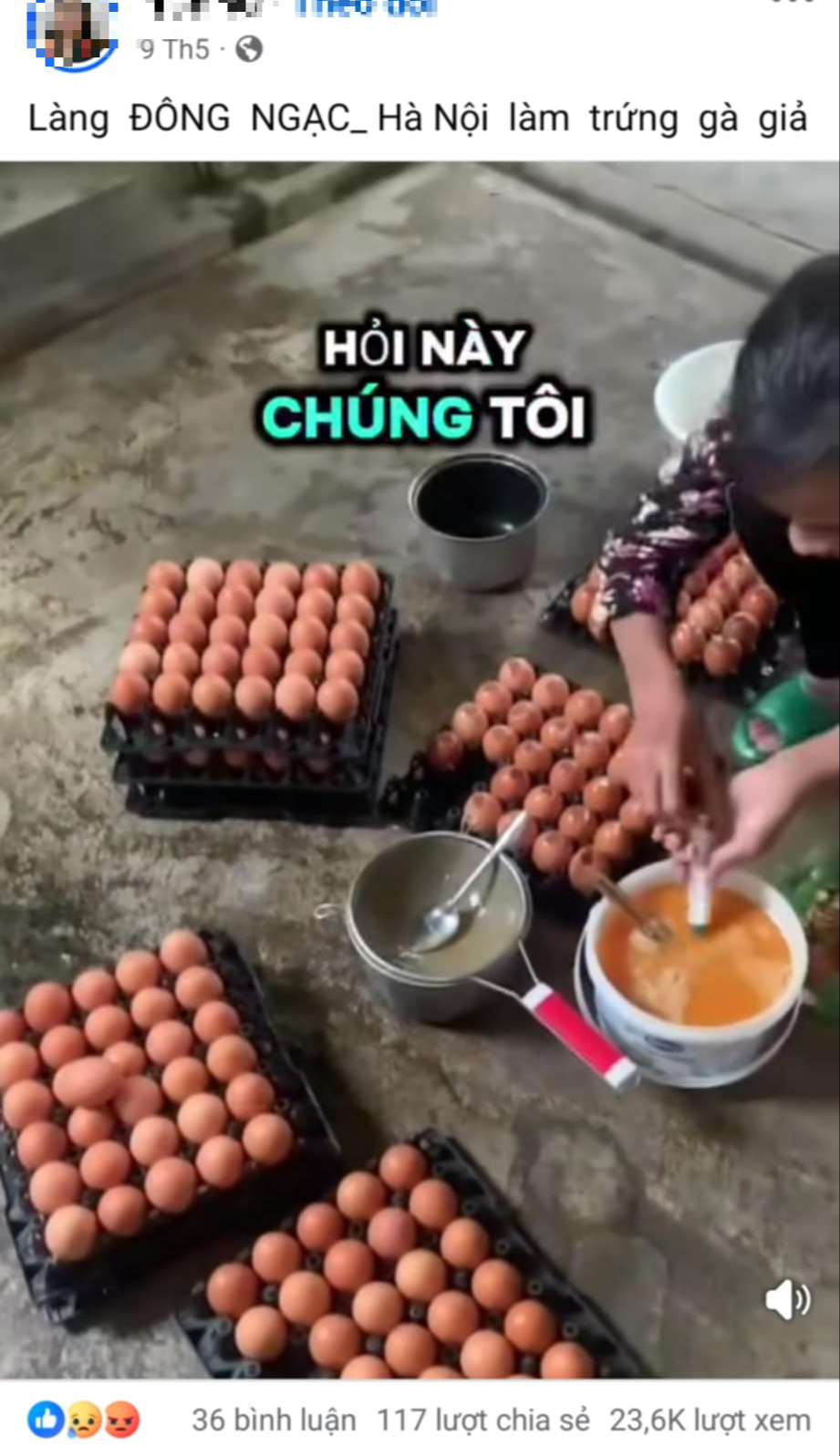 Hiệp hội Gia cầm Việt Nam lên tiếng về thông tin "trứng gà giả" - Ảnh 1