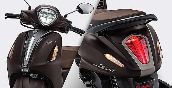 Hai mẫu xe tay ga 'ăn xăng như ngửi' về đại lý Việt: Có mẫu to, đẹp ngang Lead nhưng chỉ 1,6L/100km - Ảnh 6