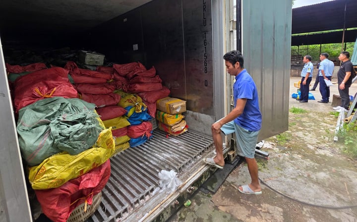 Phát hiện 25 tấn mực bốc mùi tại một kho hàng ở Quảng Ninh - Ảnh 2