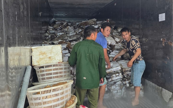 Phát hiện 25 tấn mực bốc mùi tại một kho hàng ở Quảng Ninh - Ảnh 1