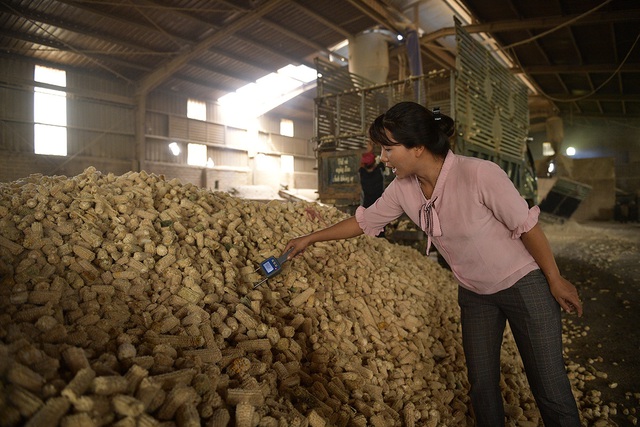 Thứ ‘cùi bắp’ vứt đầy ngoài ruộng ở Việt Nam được bán ở siêu thị Hàn Quốc, giá hàng trăm nghìn đồng/kg - Ảnh 4