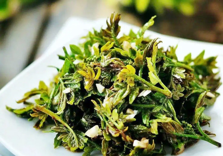 Cây xưa chỉ trồng lấy quả, nay ngắt lá đem bán cũng ra tiền - Ảnh 2