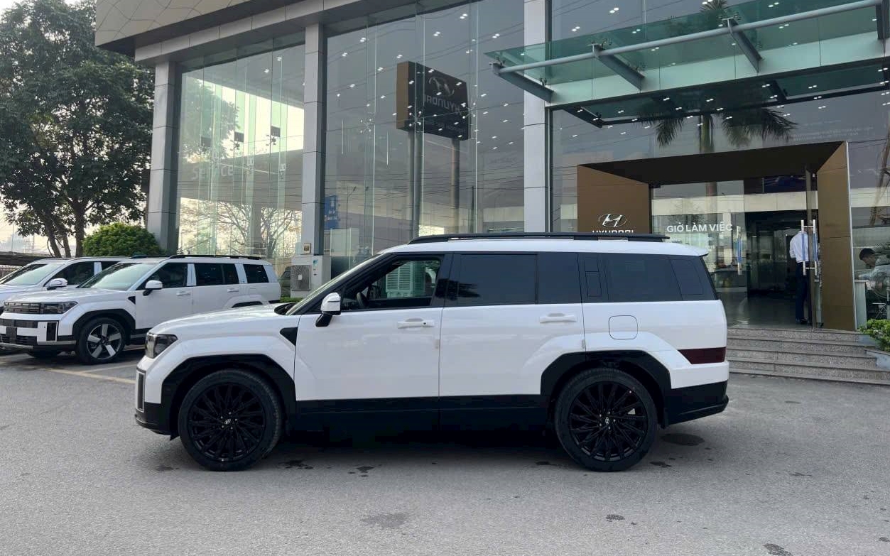 Hyundai Santa Fe đổi đuôi như thế này dễ được người Việt thích hơn: Đèn 'mượn' Sonata, đuôi như Palisade - Ảnh 1