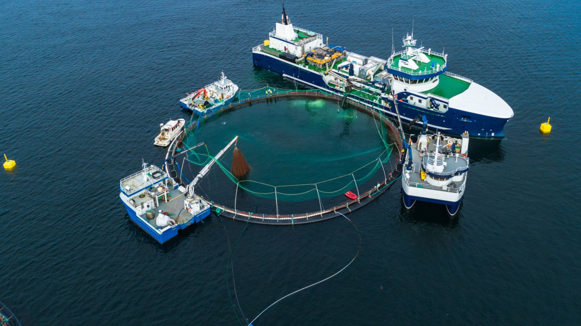 Trung Quốc sắp vận hành 'quái vật biển' đầu tiên trên thế giới: dài bằng 2 sân bóng đá, khai thác 8.000 tấn cá hồi mỗi năm - Ảnh 1