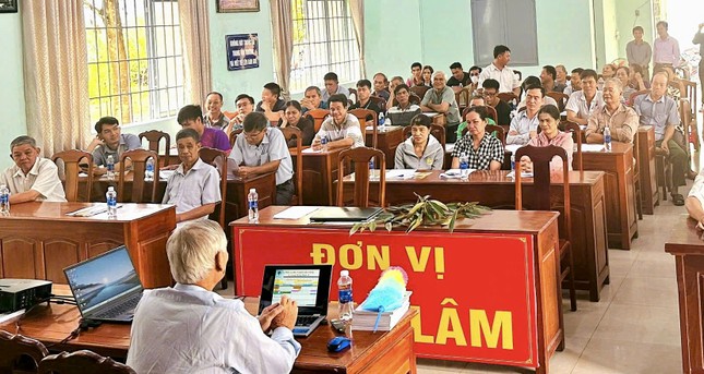 'Vua trái cây' rớt giá thảm: Đằng sau việc nhà nhà, người người trồng sầu riêng - Ảnh 3