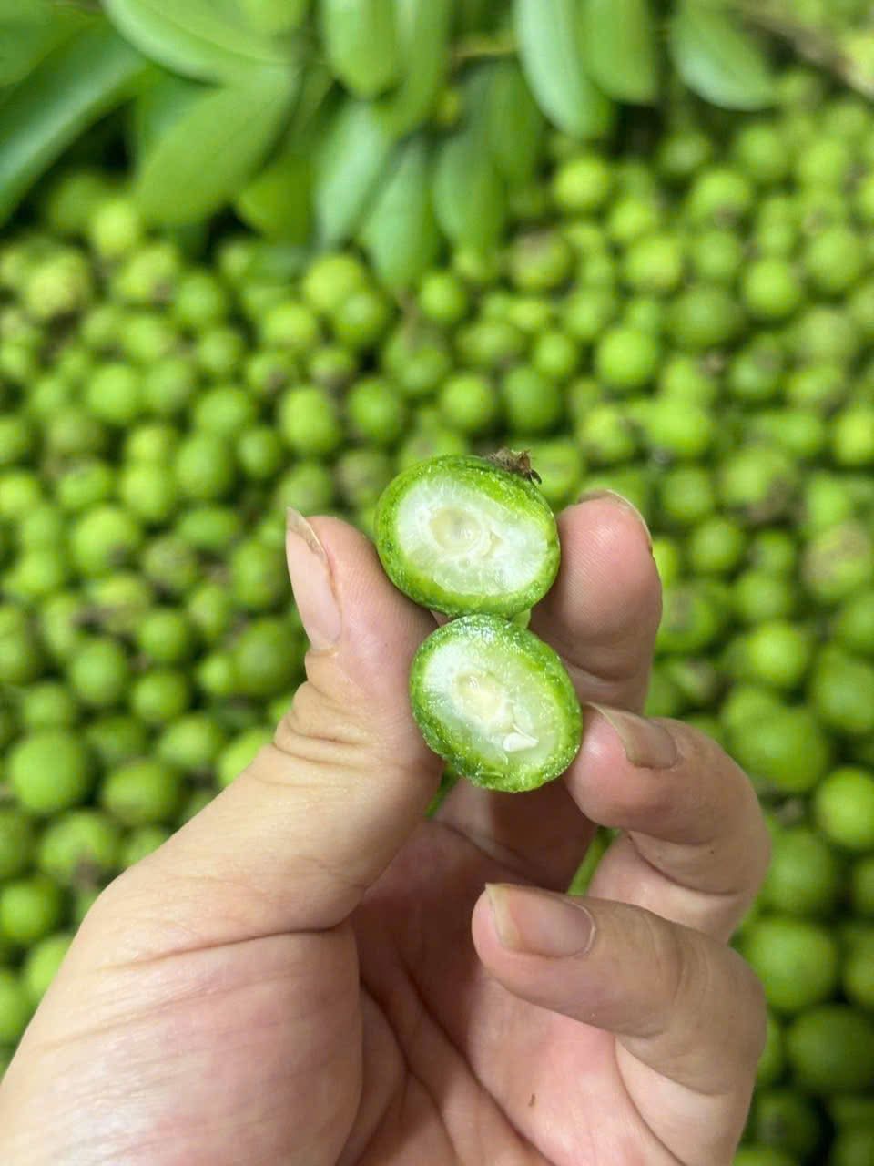 Loại quả chát xít, ngày xưa ăn với muối ớt “cho vui”, giờ thành đặc sản phố cổ Hà Nội khiến khách Tây phát cuồng - Ảnh 5