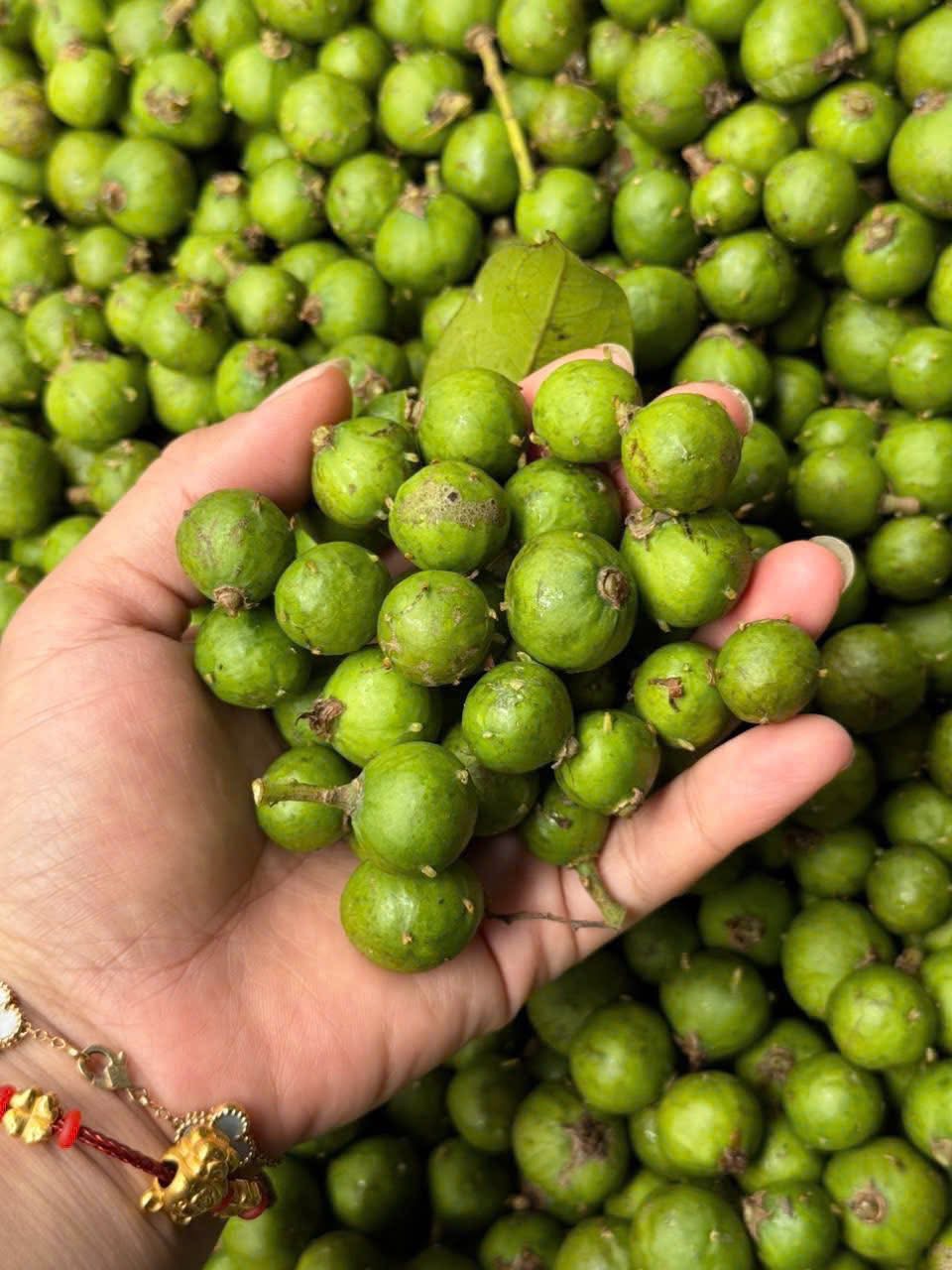 Loại quả chát xít, ngày xưa ăn với muối ớt “cho vui”, giờ thành đặc sản phố cổ Hà Nội khiến khách Tây phát cuồng - Ảnh 3
