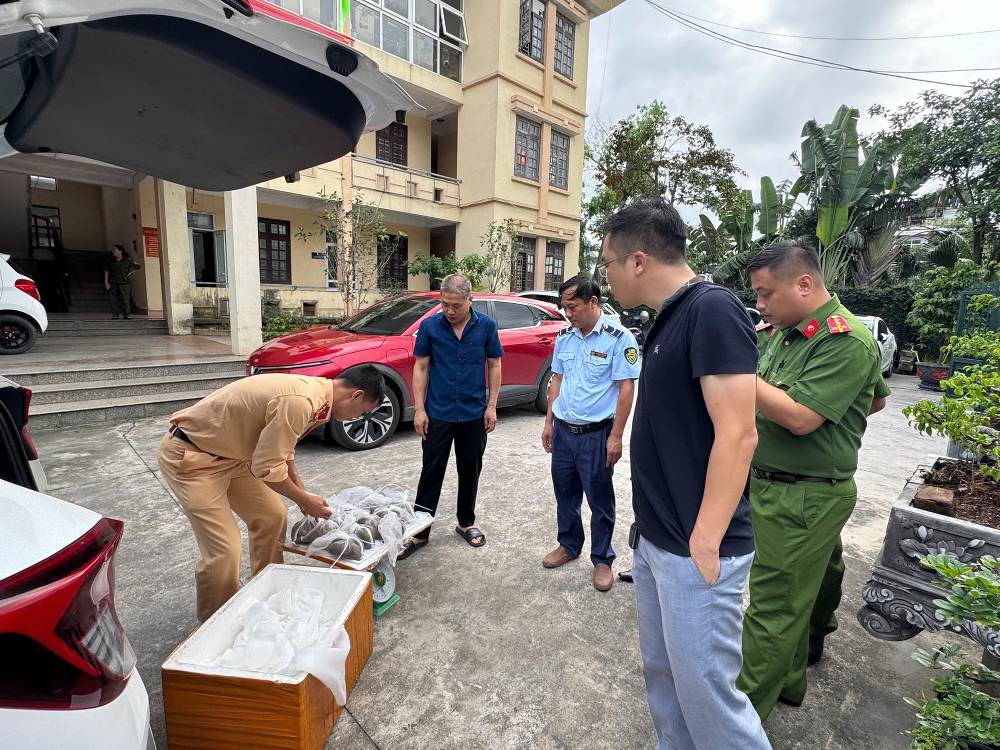 Nóng tại Quảng Ninh: Phát hiện một hộ kinh doanh có hơn 2.000 kg thực phẩm không rõ nguồn gốc, hộ khác có 5,6 triệu con ngao hoa giống không rõ xuất xứ - Ảnh 1