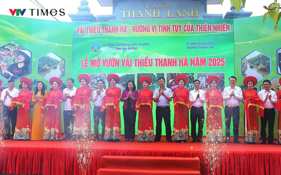 Hải Dương mở cửa vườn, xuất khẩu lô vải đầu tiên năm 2025 - Ảnh 1