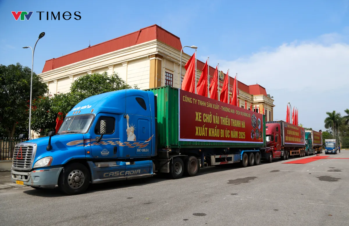 Hải Dương mở cửa vườn, xuất khẩu lô vải đầu tiên năm 2025 - Ảnh 2