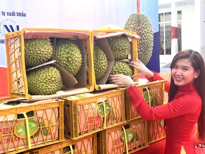 Thêm cơ hội cho sầu riêng Việt tại Trung Quốc - Ảnh 1