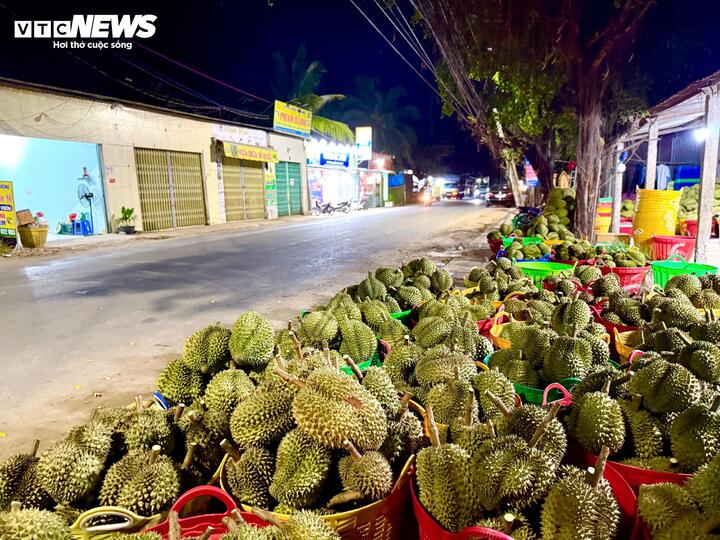 Chuyên gia 'vạch trần' cách cadimi âm thầm 'đầu độc' ngành sầu riêng - Ảnh 10