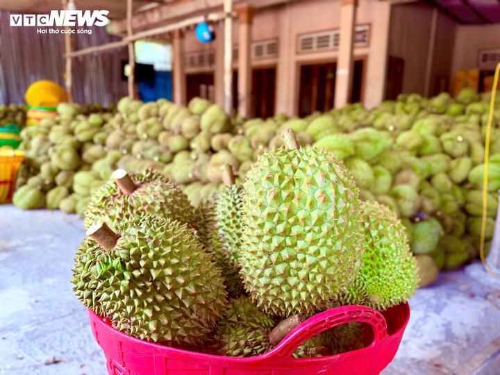 Chuyên gia 'vạch trần' cách cadimi âm thầm 'đầu độc' ngành sầu riêng - Ảnh 2