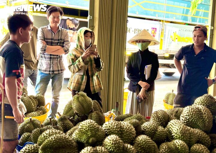 Chuyên gia 'vạch trần' cách cadimi âm thầm 'đầu độc' ngành sầu riêng - Ảnh 7