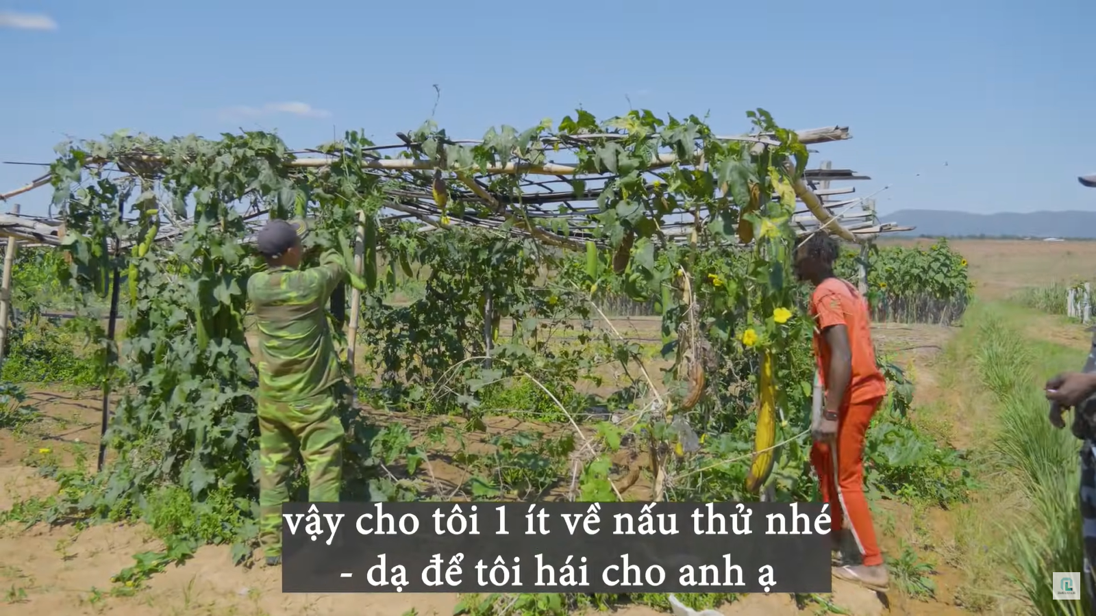 Cảnh sát bất ngờ đến trang trại team Quang Linh châu Phi, chuyện gì đã xảy ra? - Ảnh 4